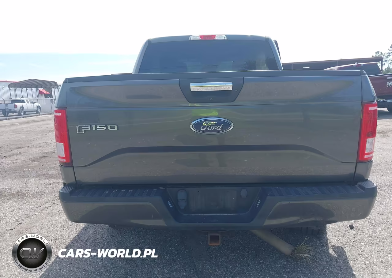 2017 Ford F-150 Xl VIN:1FTEW1CG0HFB06394 - 16