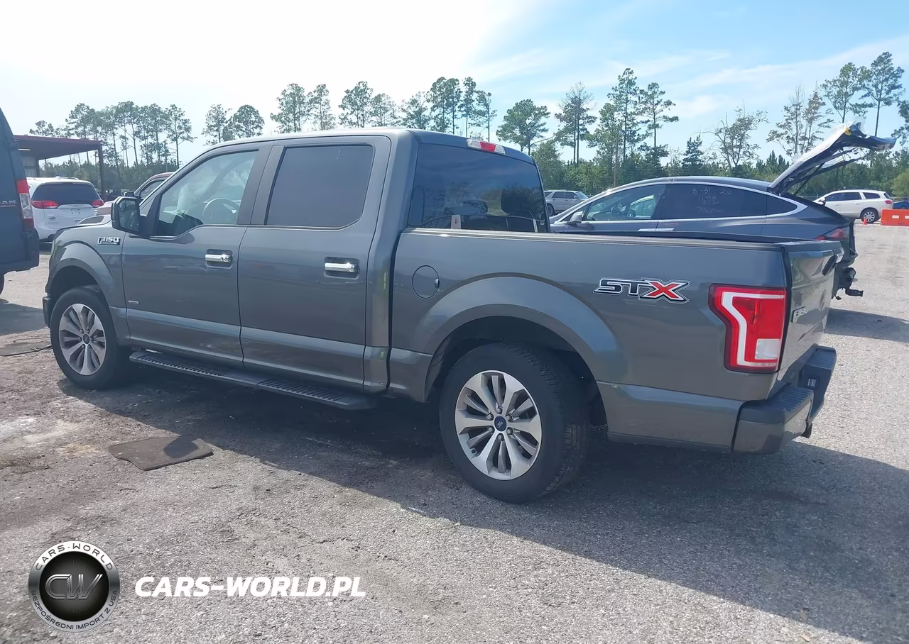 2017 Ford F-150 Xl VIN:1FTEW1CG0HFB06394 - 3
