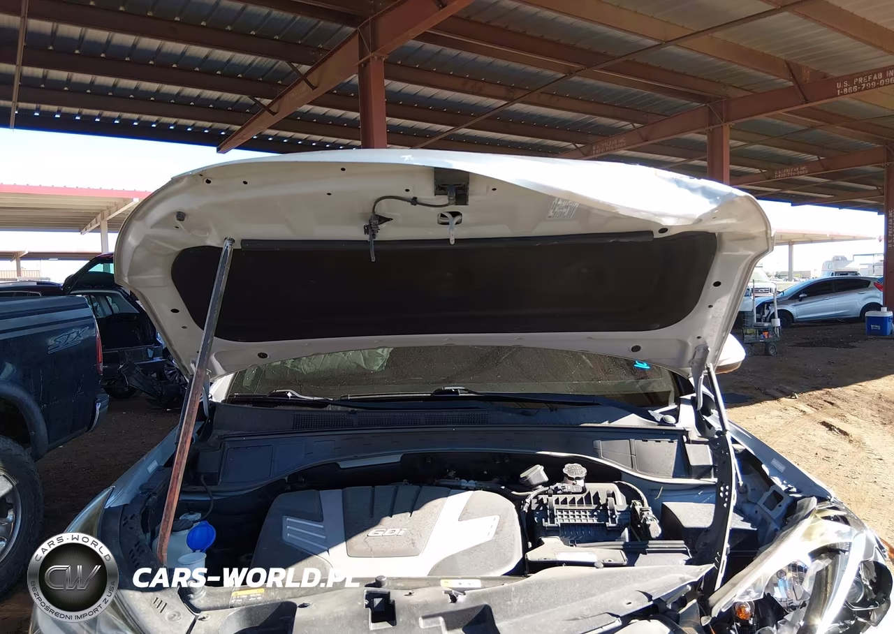 2017 Hyundai Santa Fe VIN:KM8SRDHF3HU248533 - 10