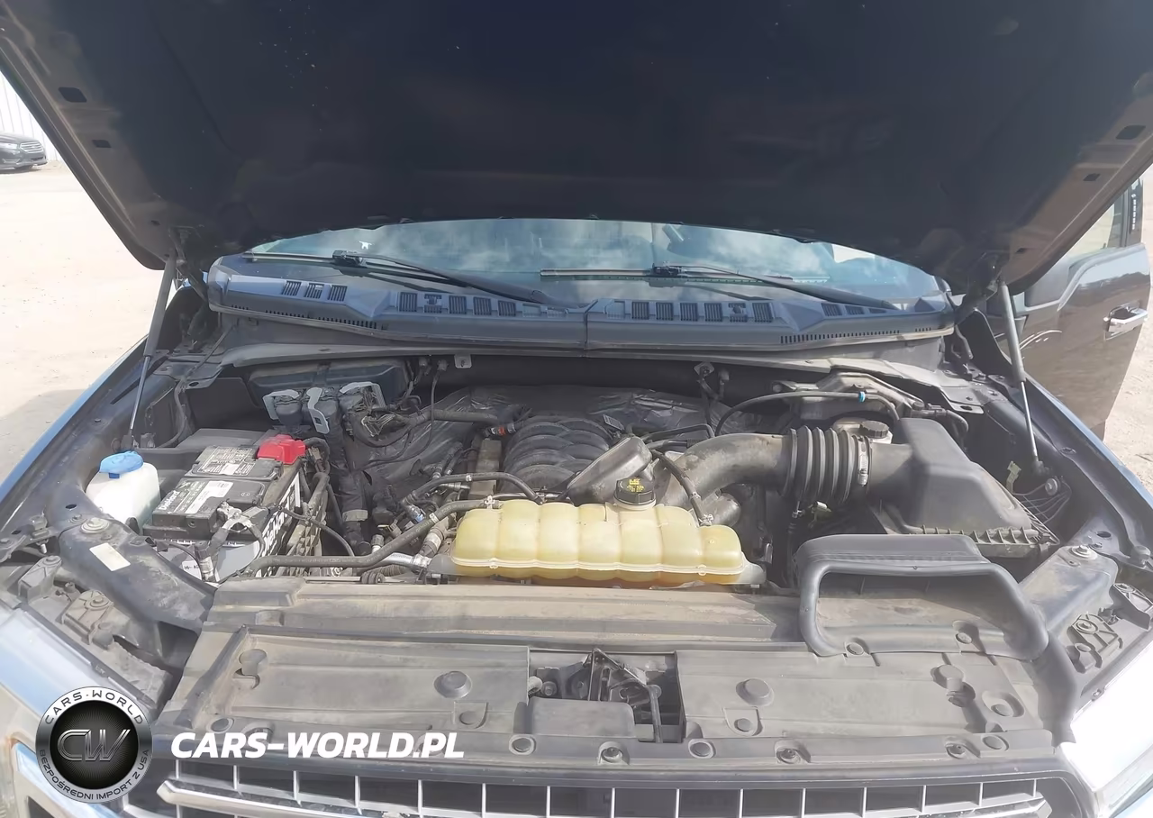 2019 Ford F-150 Xlt VIN:1FTEW1E54KFB49798 - 10