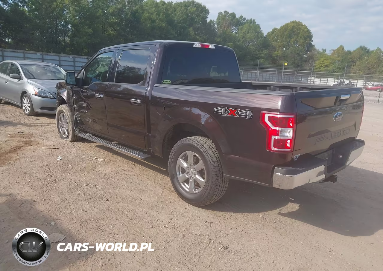 2019 Ford F-150 Xlt VIN:1FTEW1E54KFB49798 - 3