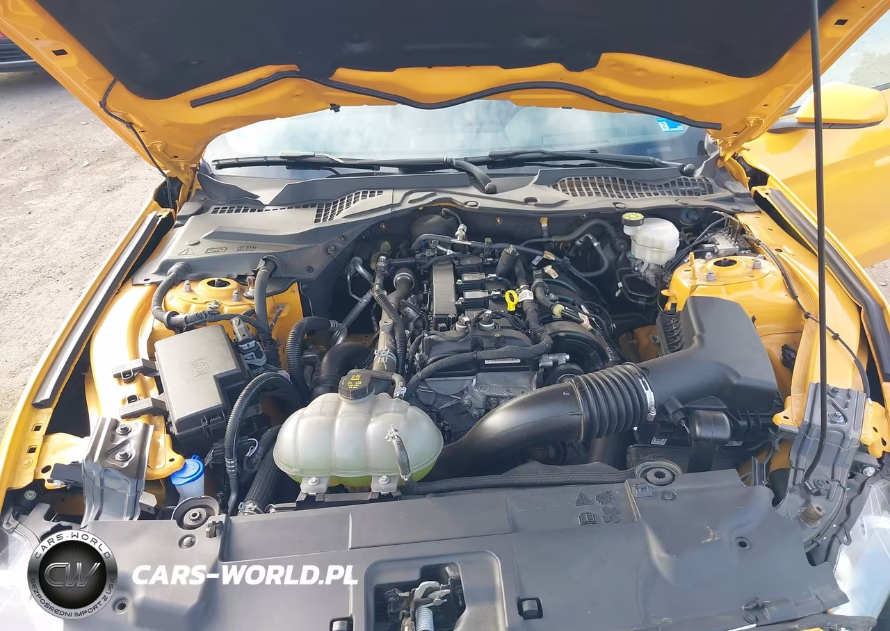 2022 Ford Mustang Ecoboost Fastback VIN:1FA6P8TH3N5149072 - 10