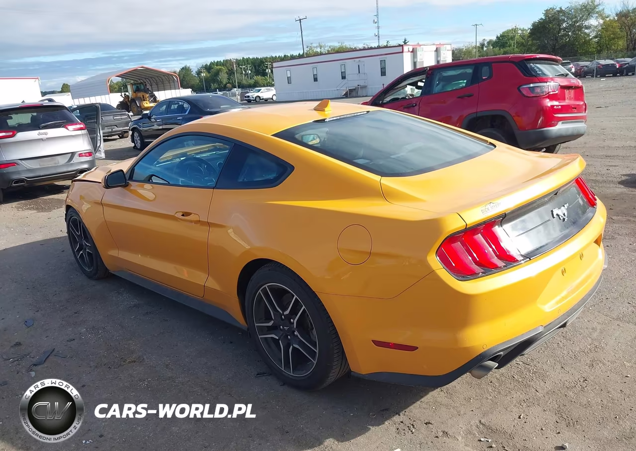 2022 Ford Mustang Ecoboost Fastback VIN:1FA6P8TH3N5149072 - 3
