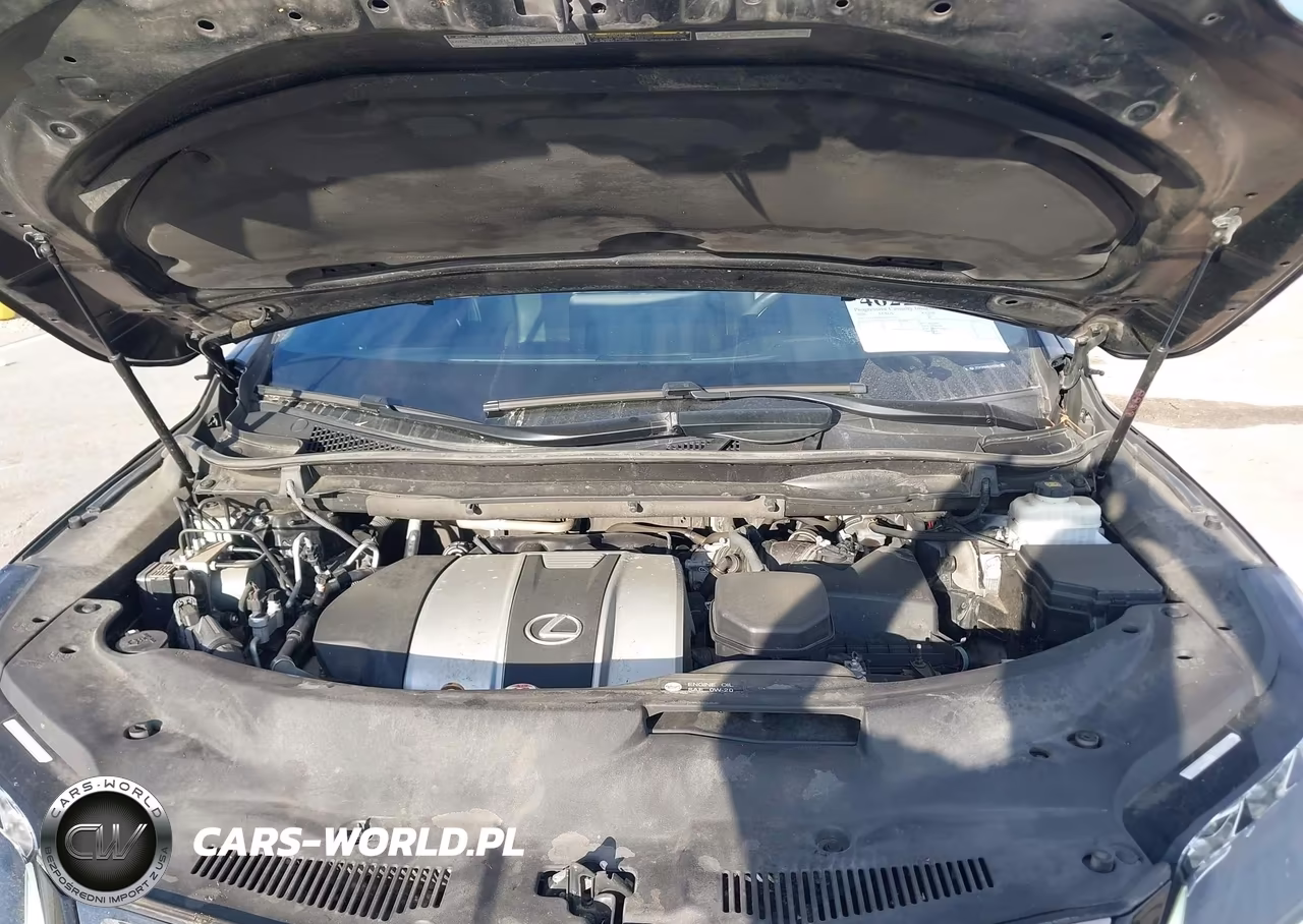 2020 Lexus Rx 350 F Sport Performance VIN:2T2YZMDA0LC250301 - 10