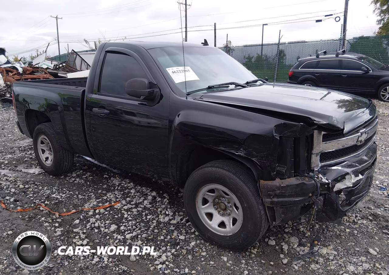 2009 Chevrolet Silverado 1500 Work Truck