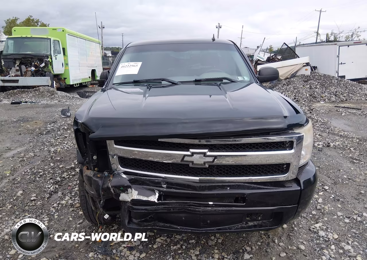 2009 Chevrolet Silverado 1500 Work Truck VIN:1GCEK14C69Z148897 - 12