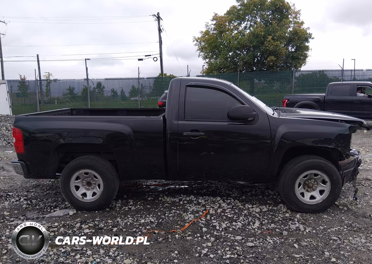 2009 Chevrolet Silverado 1500 Work Truck VIN:1GCEK14C69Z148897 - 13