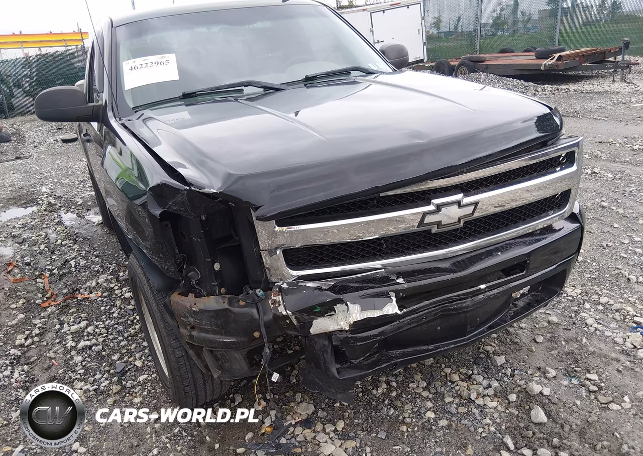 2009 Chevrolet Silverado 1500 Work Truck VIN:1GCEK14C69Z148897 - 6