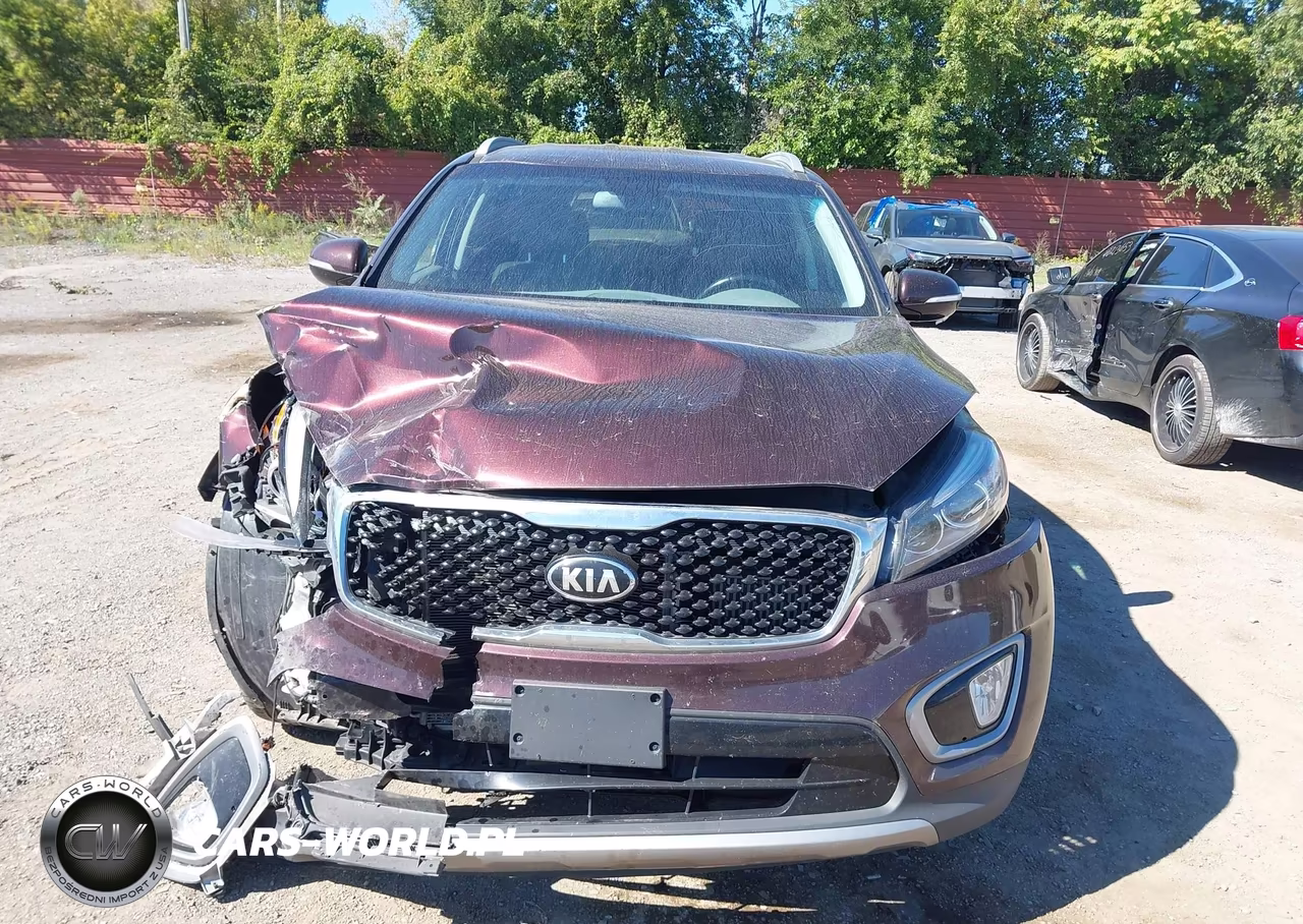 2016 Kia Sorento 2.0T Ex VIN:5XYPH4A13GG036758 - 12