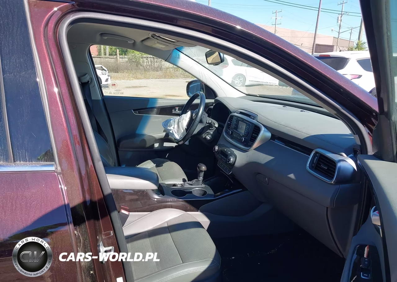 2016 Kia Sorento 2.0T Ex VIN:5XYPH4A13GG036758 - 5