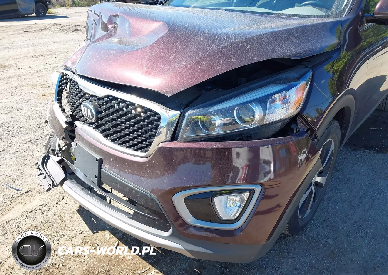 2016 Kia Sorento 2.0T Ex VIN:5XYPH4A13GG036758 - 6