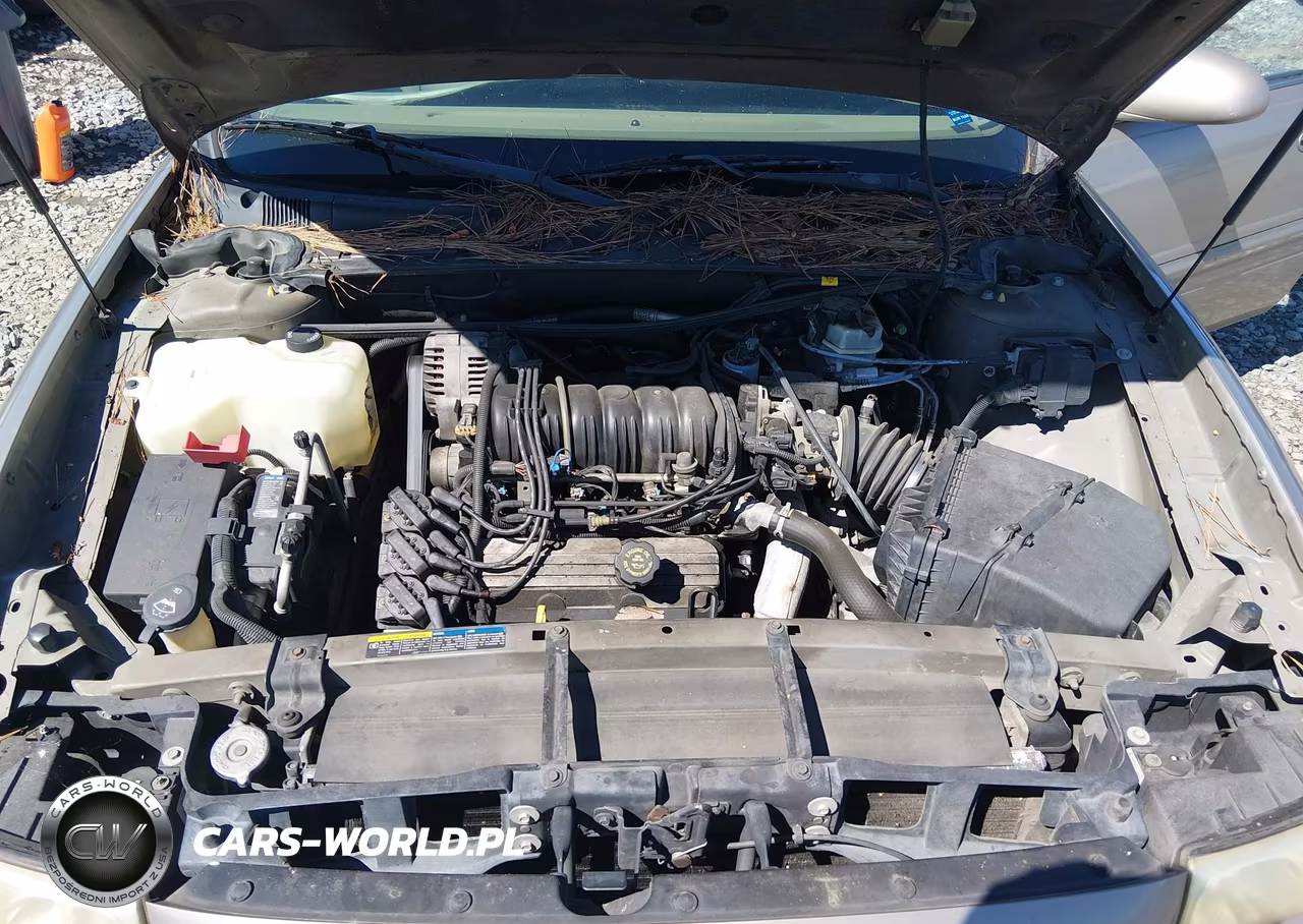 2002 Buick Lesabre Custom VIN:1G4HP54K024223055 - 10