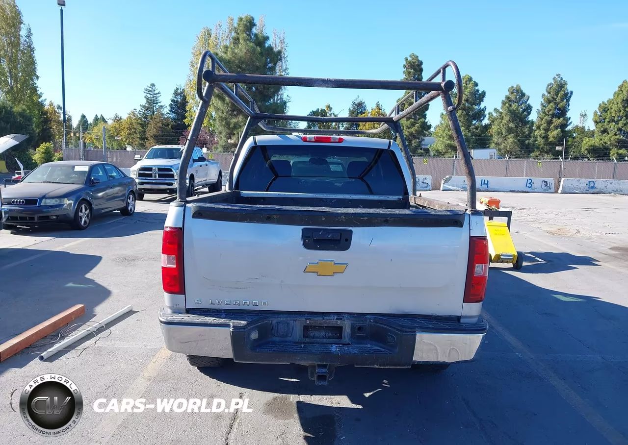 2010 Chevrolet Silverado 1500 Ls VIN:3GCRCREA4AG293337 - 17