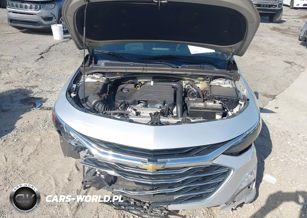 2019 Chevrolet Malibu Lt VIN:1G1ZD5ST4KF171018 - 10