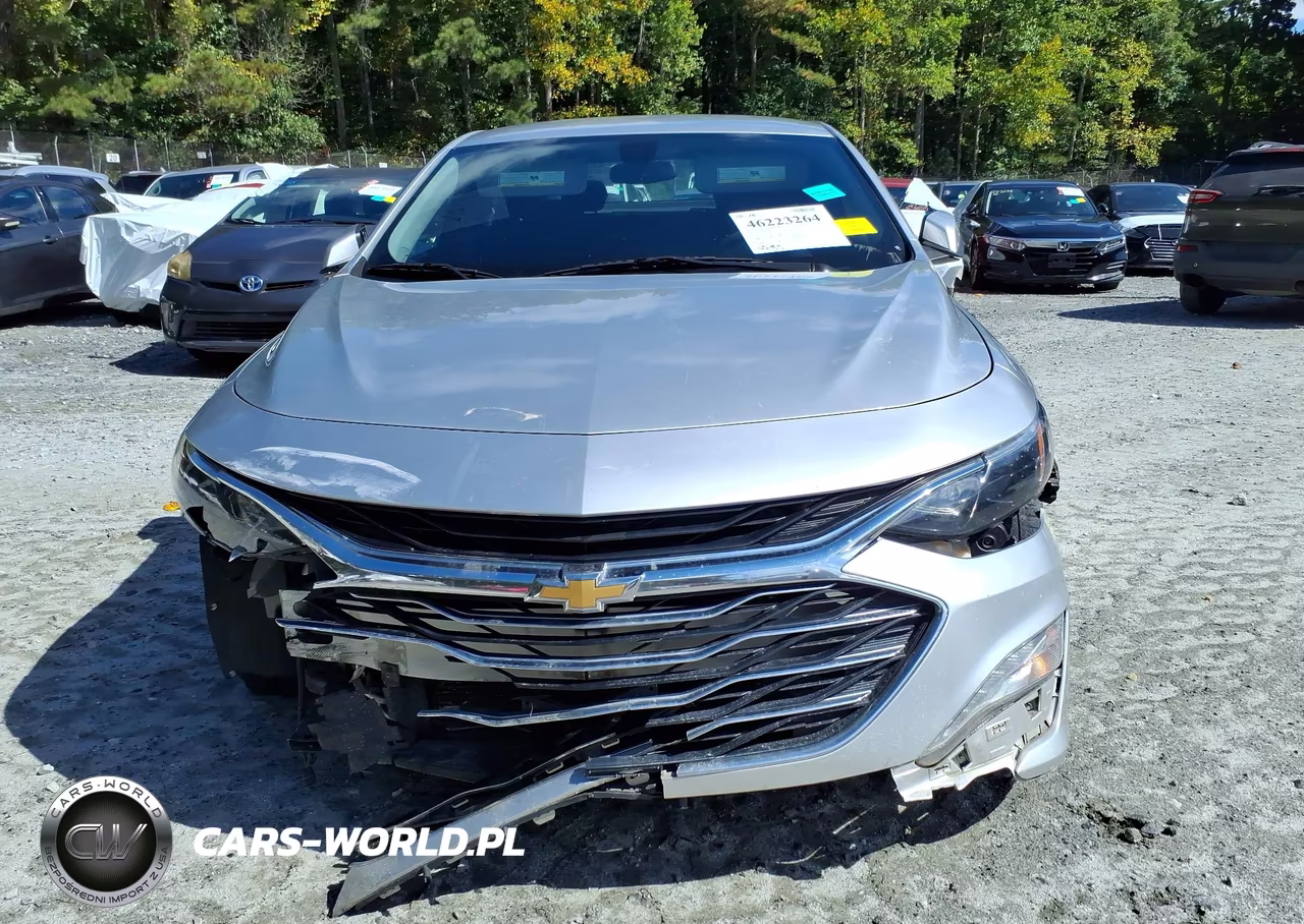 2019 Chevrolet Malibu Lt VIN:1G1ZD5ST4KF171018 - 12