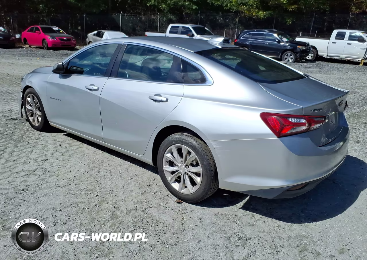2019 Chevrolet Malibu Lt VIN:1G1ZD5ST4KF171018 - 3