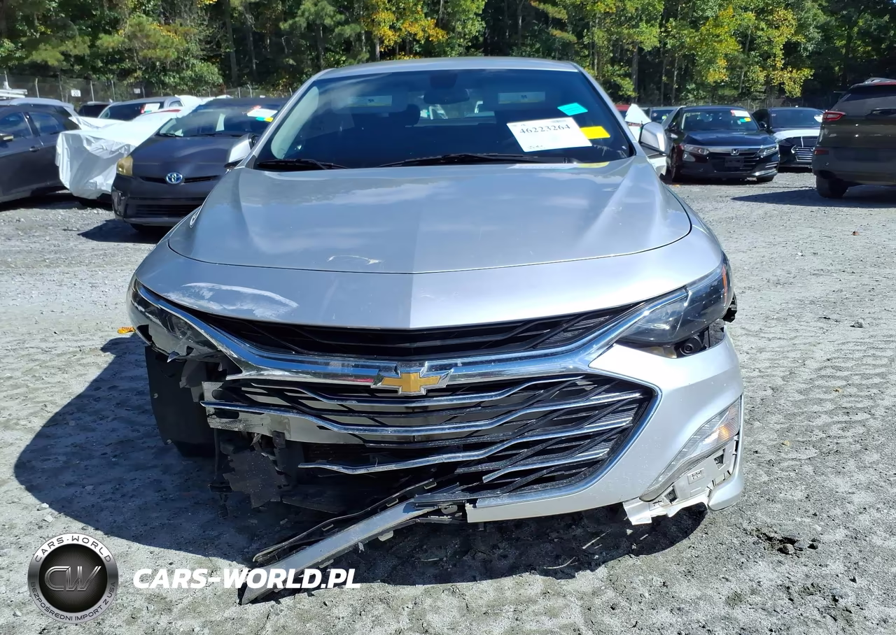 2019 Chevrolet Malibu Lt VIN:1G1ZD5ST4KF171018 - 6