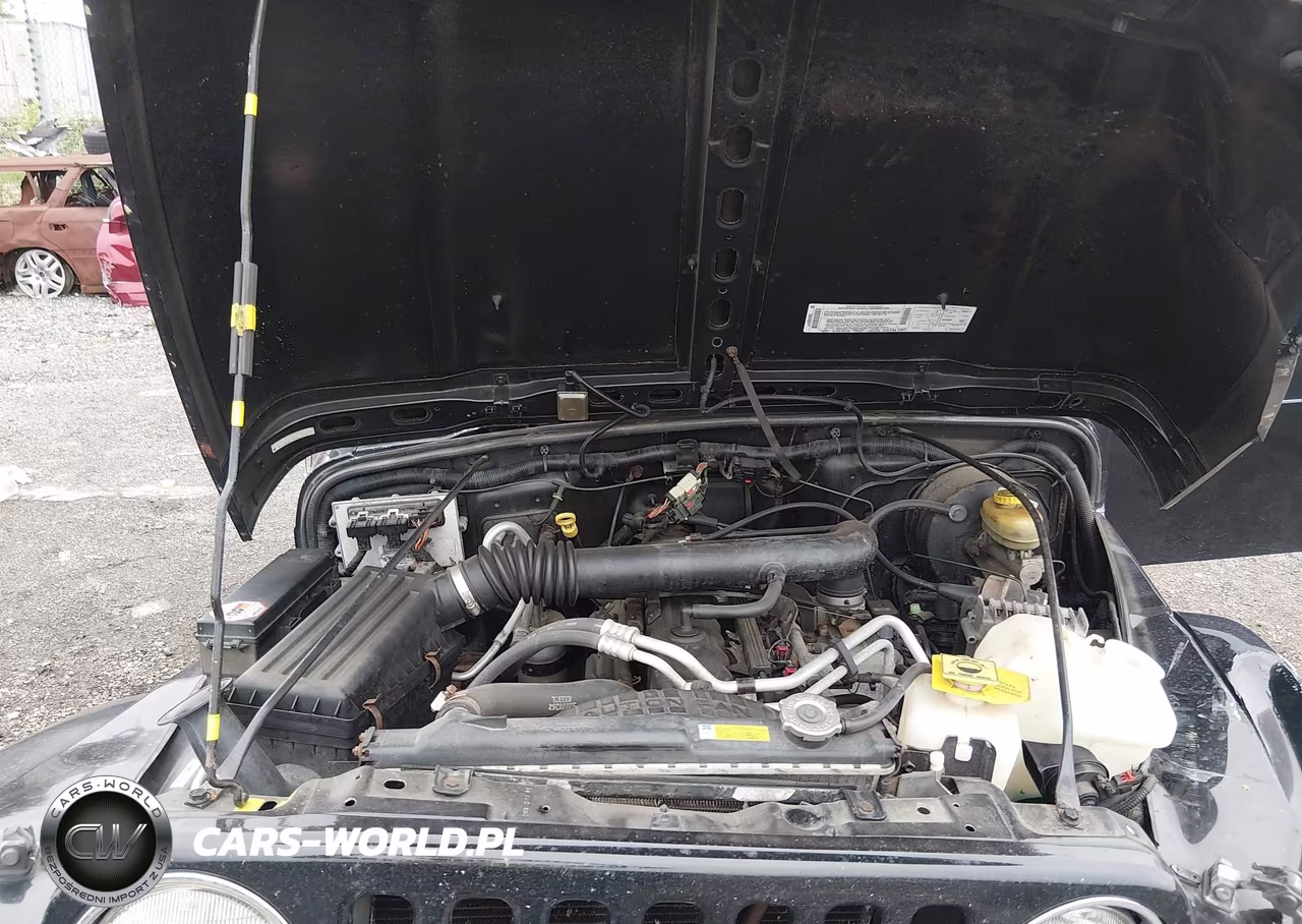 2003 Jeep Wrangler Sahara VIN:1J4FA59S03P329943 - 10