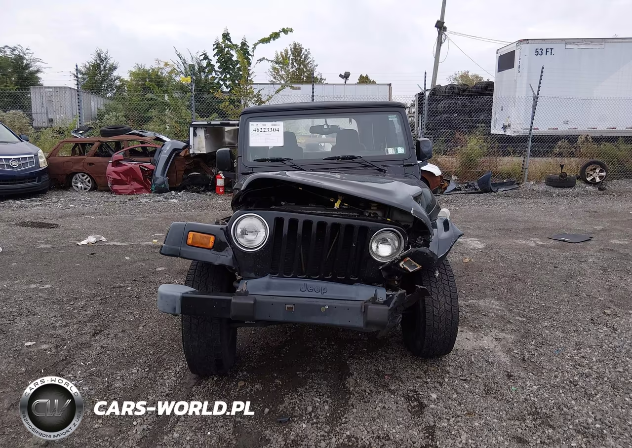 2003 Jeep Wrangler Sahara VIN:1J4FA59S03P329943 - 12