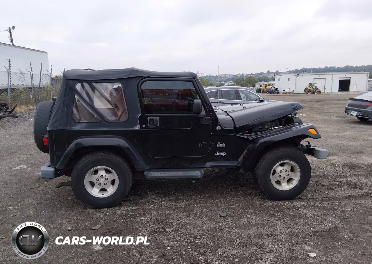 2003 Jeep Wrangler Sahara VIN:1J4FA59S03P329943 - 13