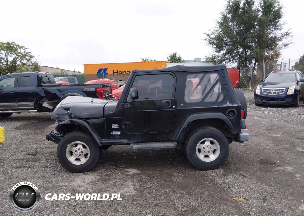 2003 Jeep Wrangler Sahara VIN:1J4FA59S03P329943 - 14