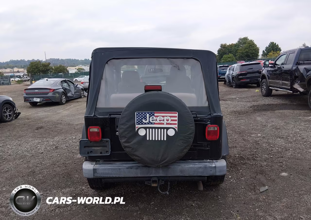2003 Jeep Wrangler Sahara VIN:1J4FA59S03P329943 - 16