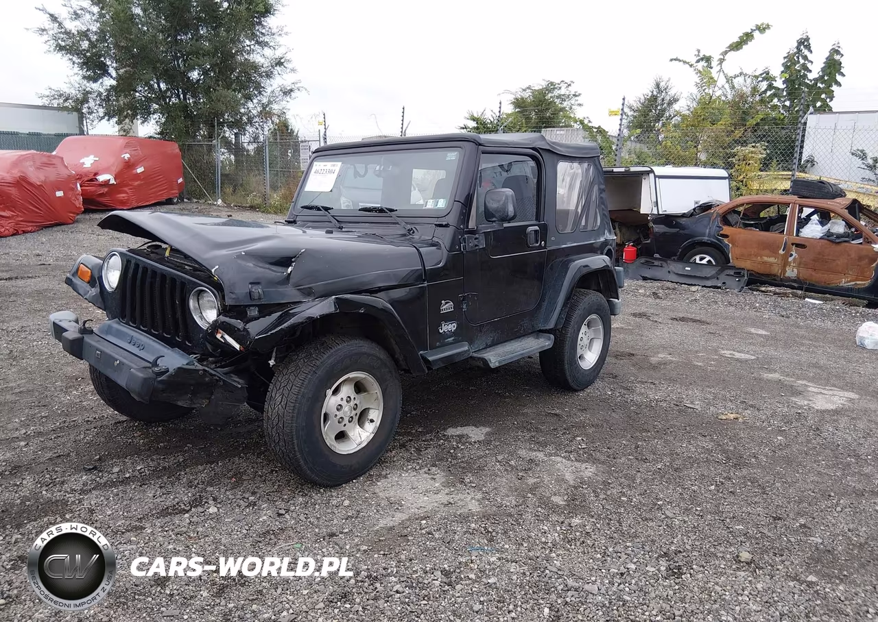 2003 Jeep Wrangler Sahara VIN:1J4FA59S03P329943 - 2