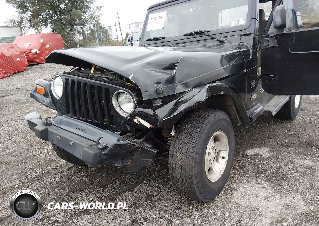 2003 Jeep Wrangler Sahara VIN:1J4FA59S03P329943 - 6