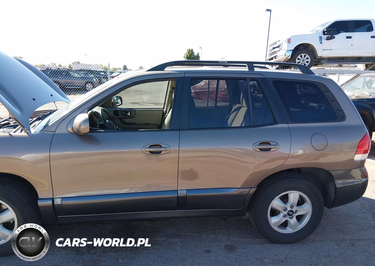 2006 Hyundai Santa Fe Gls VIN:KM8SC73D86U071533 - 6