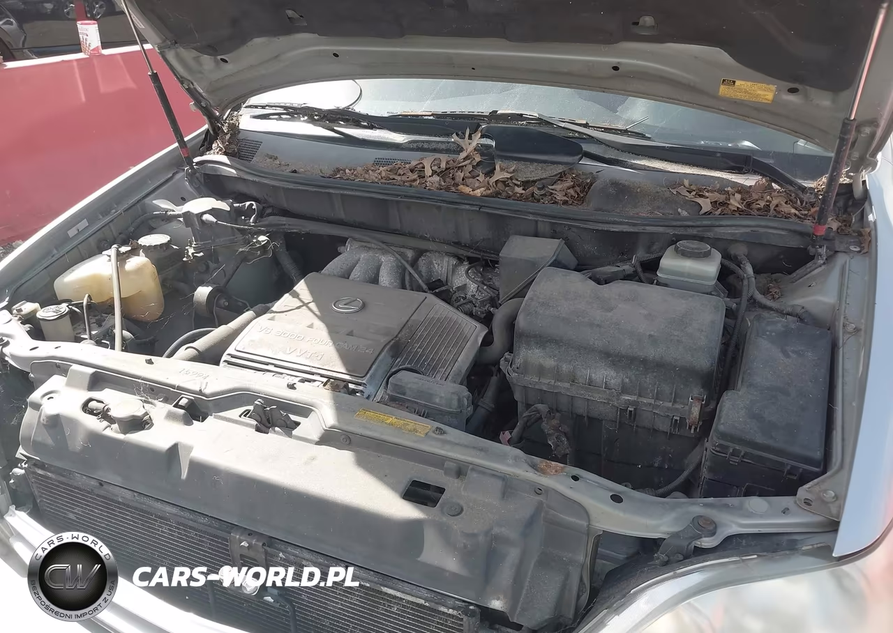 2002 Lexus Rx 300 VIN:JTJGF10U120122789 - 10