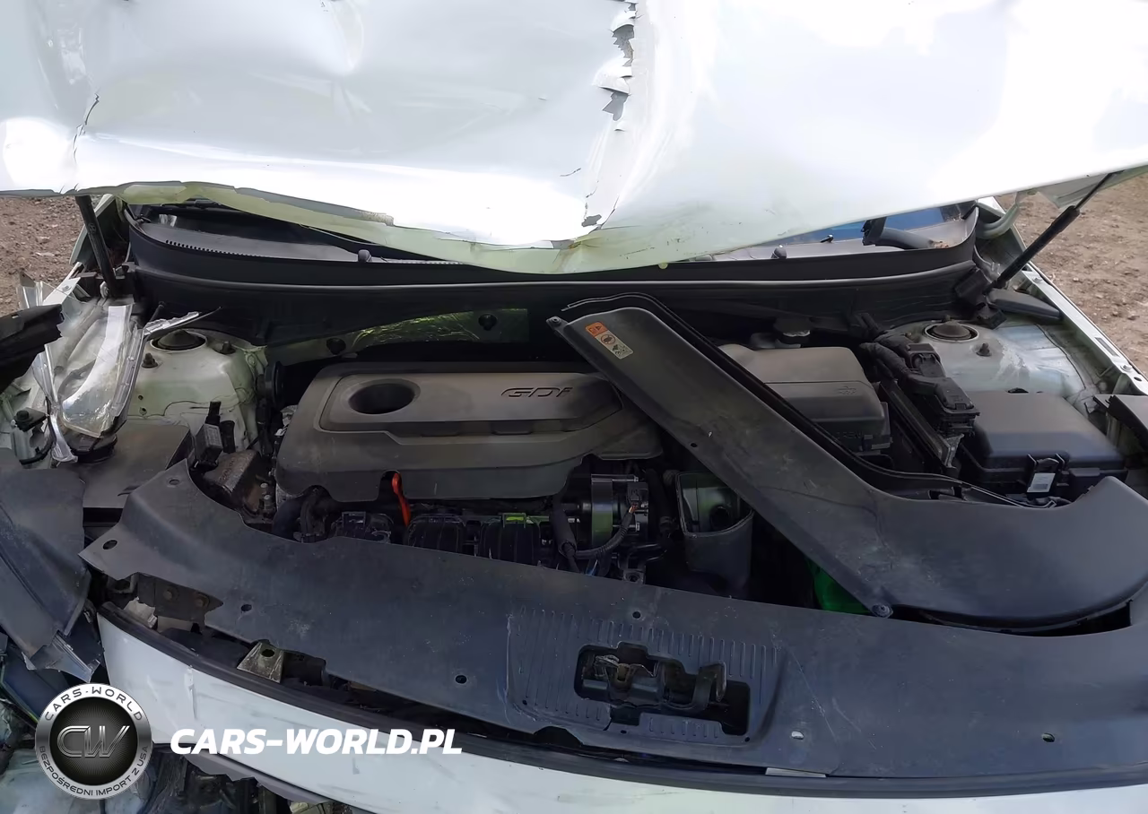 2017 Hyundai Sonata Sport VIN:5NPE34AF2HH448584 - 10