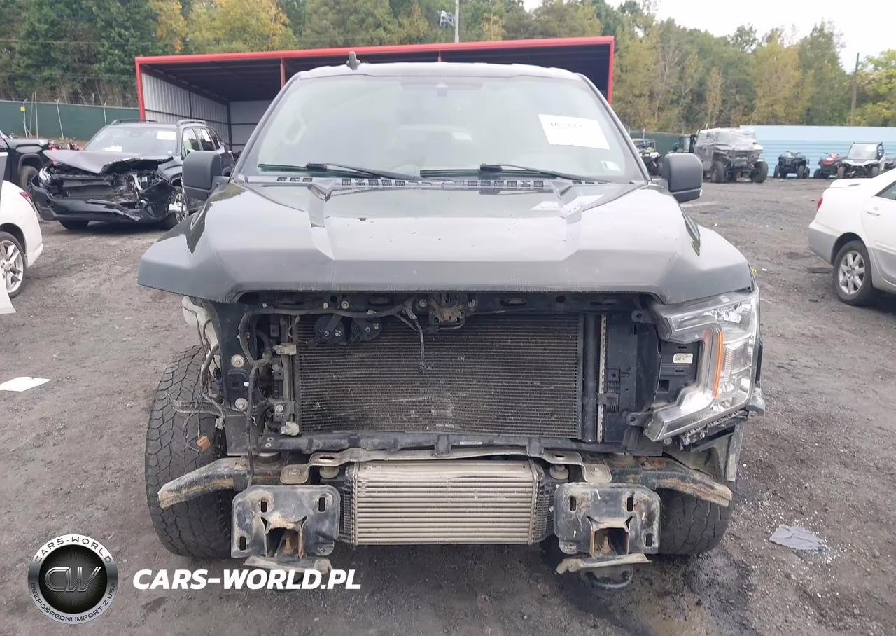 2019 Ford F-150 Xlt VIN:1FTEW1E41KFC11911 - 12