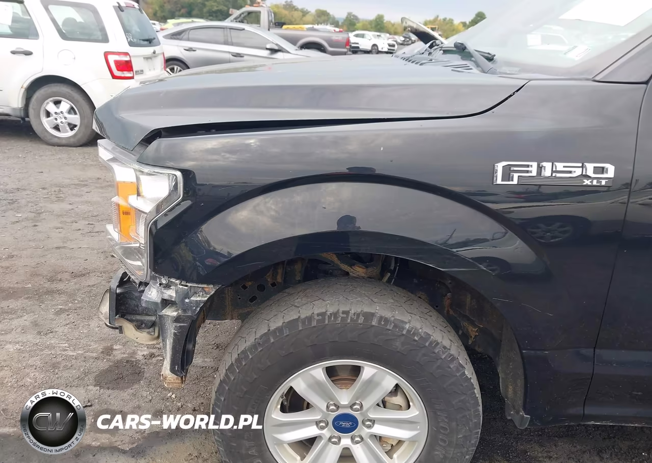 2019 Ford F-150 Xlt VIN:1FTEW1E41KFC11911 - 19