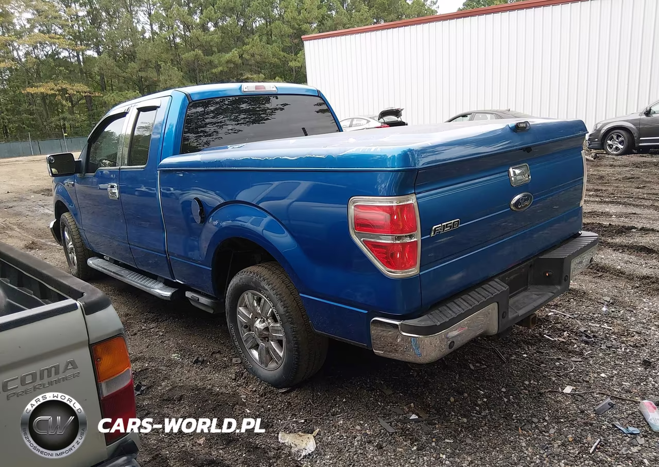 2010 Ford F-150 Xlt VIN:1FTEX1C87AFC69099 - 3