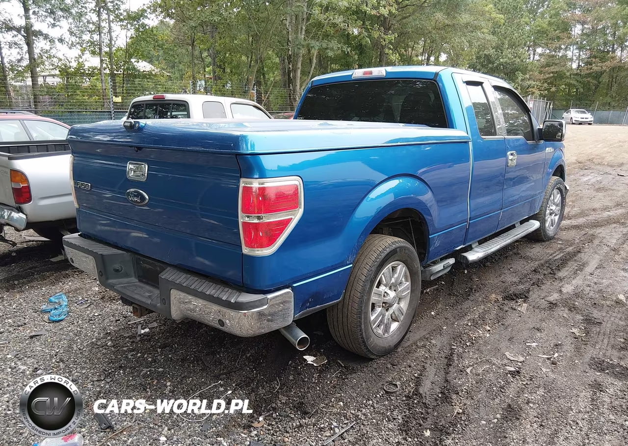 2010 Ford F-150 Xlt VIN:1FTEX1C87AFC69099 - 4