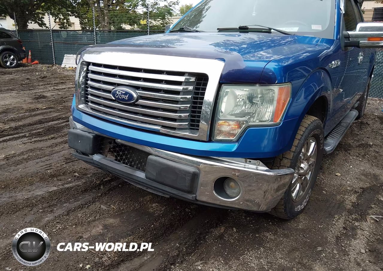 2010 Ford F-150 Xlt VIN:1FTEX1C87AFC69099 - 6