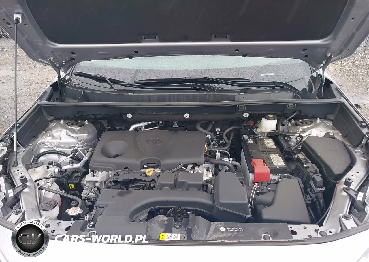 2024 Toyota Rav4 Xle VIN:2T3P1RFV0RW448377 - 10