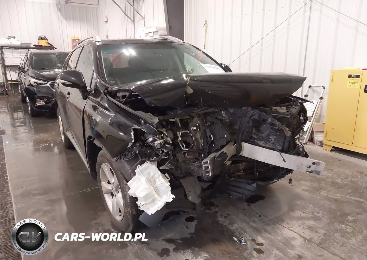 2010 Lexus Rx 350 VIN:2T2BK1BA9AC074387 - 6