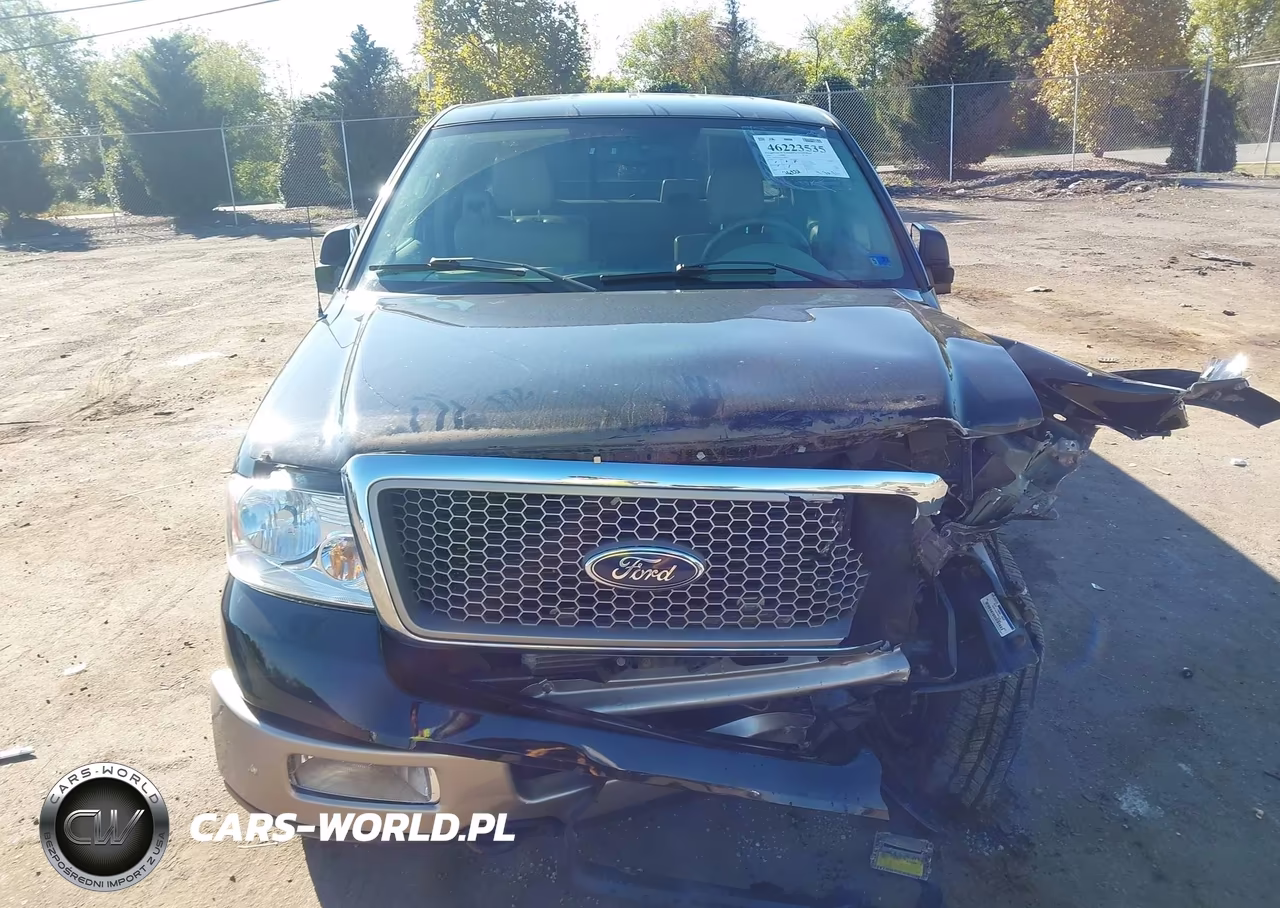 2005 Ford F-150 Fx4-Lariat-Xl-Xlt VIN:1FTPX14535NA58815 - 6