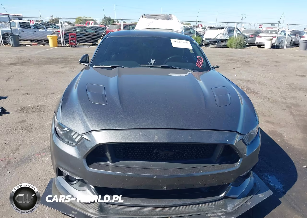 2017 Ford Mustang Gt VIN:1FA6P8CF2H5317111 - 12