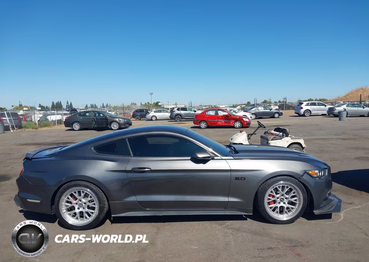 2017 Ford Mustang Gt VIN:1FA6P8CF2H5317111 - 13
