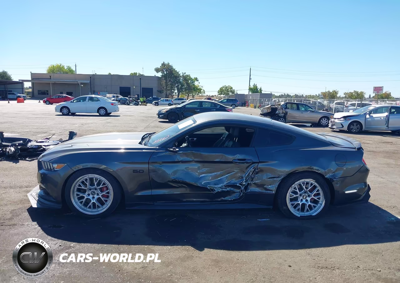 2017 Ford Mustang Gt VIN:1FA6P8CF2H5317111 - 14