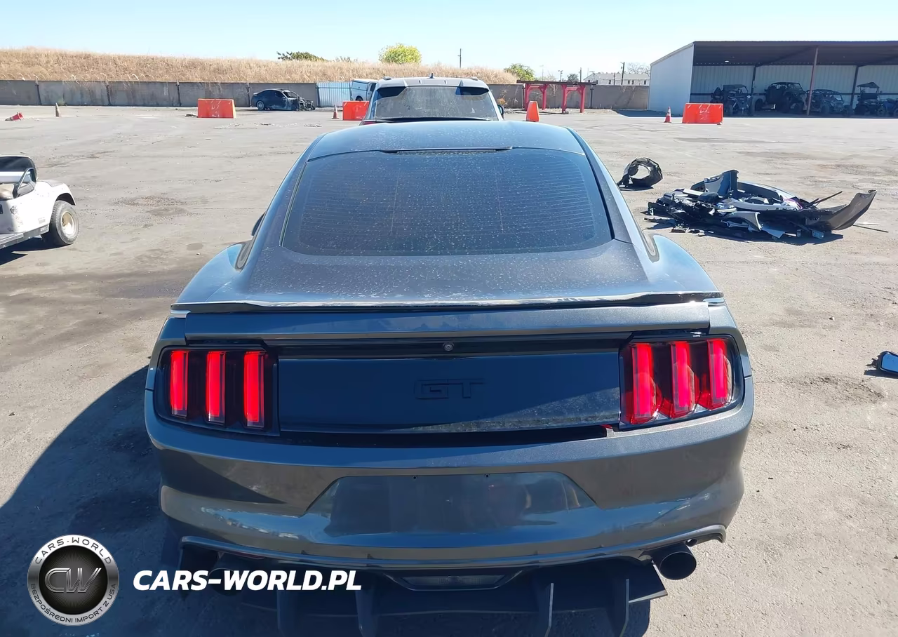 2017 Ford Mustang Gt VIN:1FA6P8CF2H5317111 - 16