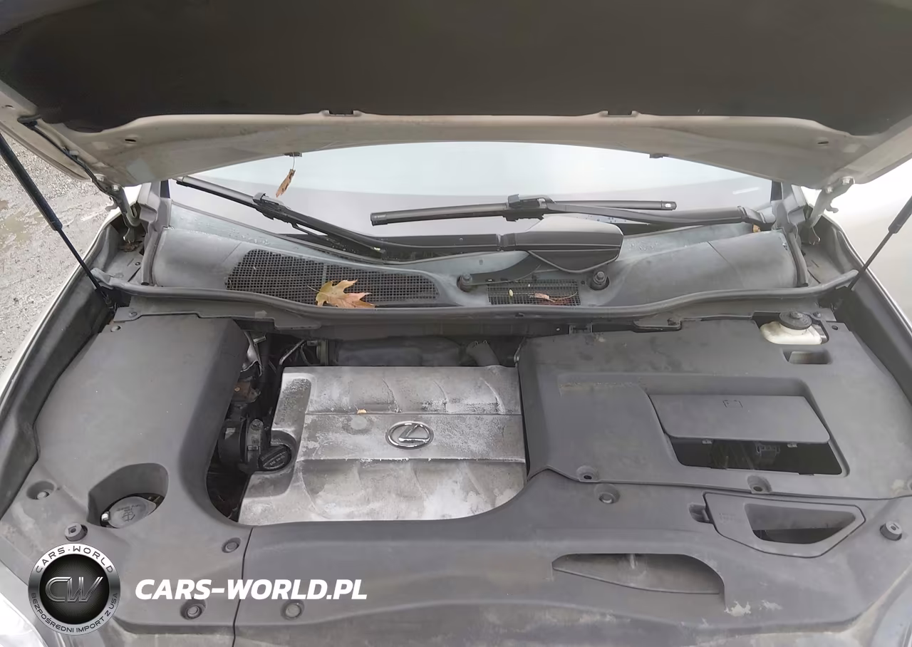 2015 Lexus Rx 350 VIN:2T2BK1BA3FC314072 - 10