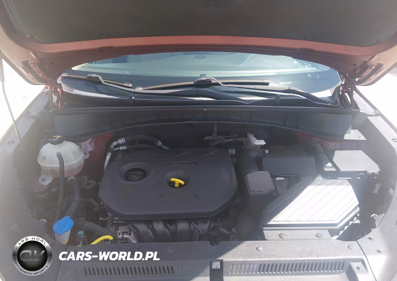 2016 Hyundai Tucson Se VIN:KM8J3CA43GU125779 - 10