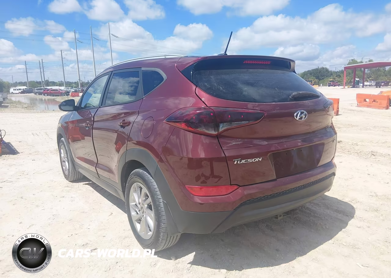 2016 Hyundai Tucson Se VIN:KM8J3CA43GU125779 - 3