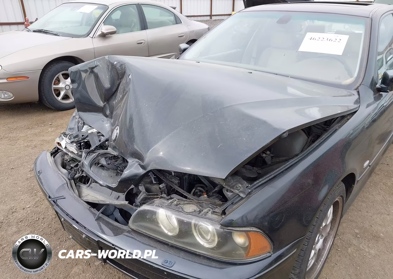 2002 BMW 540Ia VIN:WBADN63432GN86463 - 12