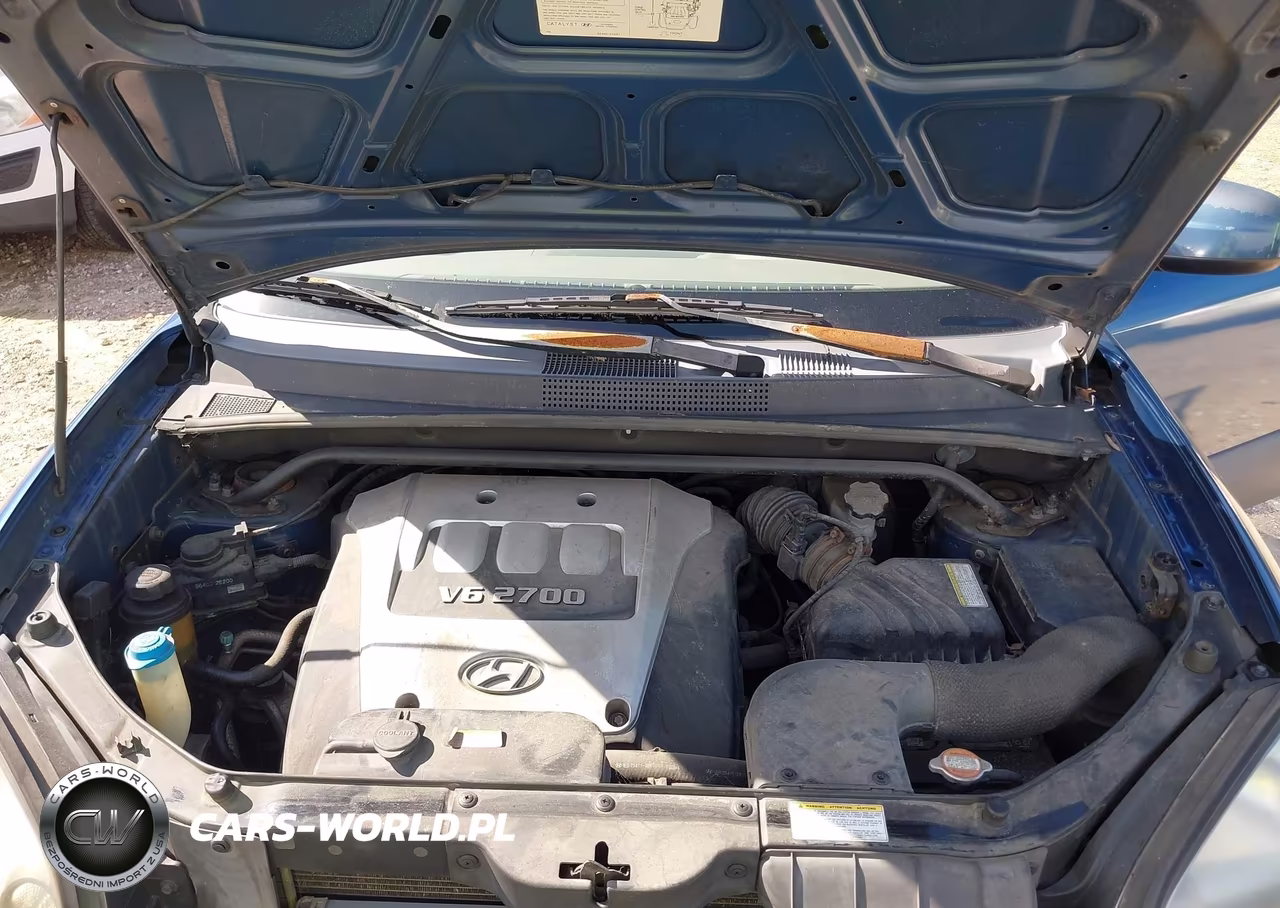 2005 Hyundai Tucson Gls-Lx VIN:KM8JN12D55U110968 - 10