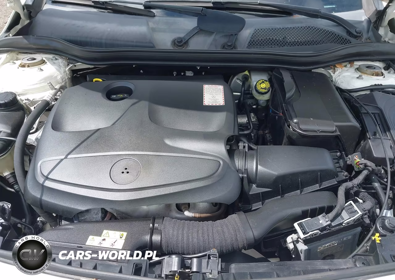2016 Mercedes-Benz Cla 250 VIN:WDDSJ4EB6GN317484 - 10