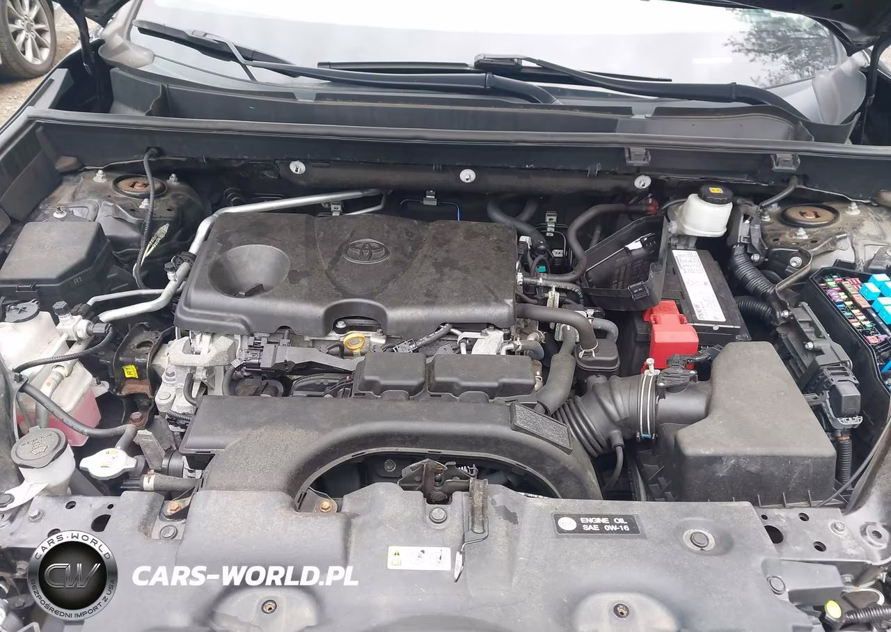 2019 Toyota Rav4 Xle VIN:2T3P1RFVXKC026799 - 10